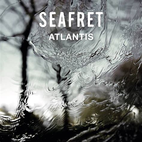 I'll never take back the things I said. . Seafret atlantis